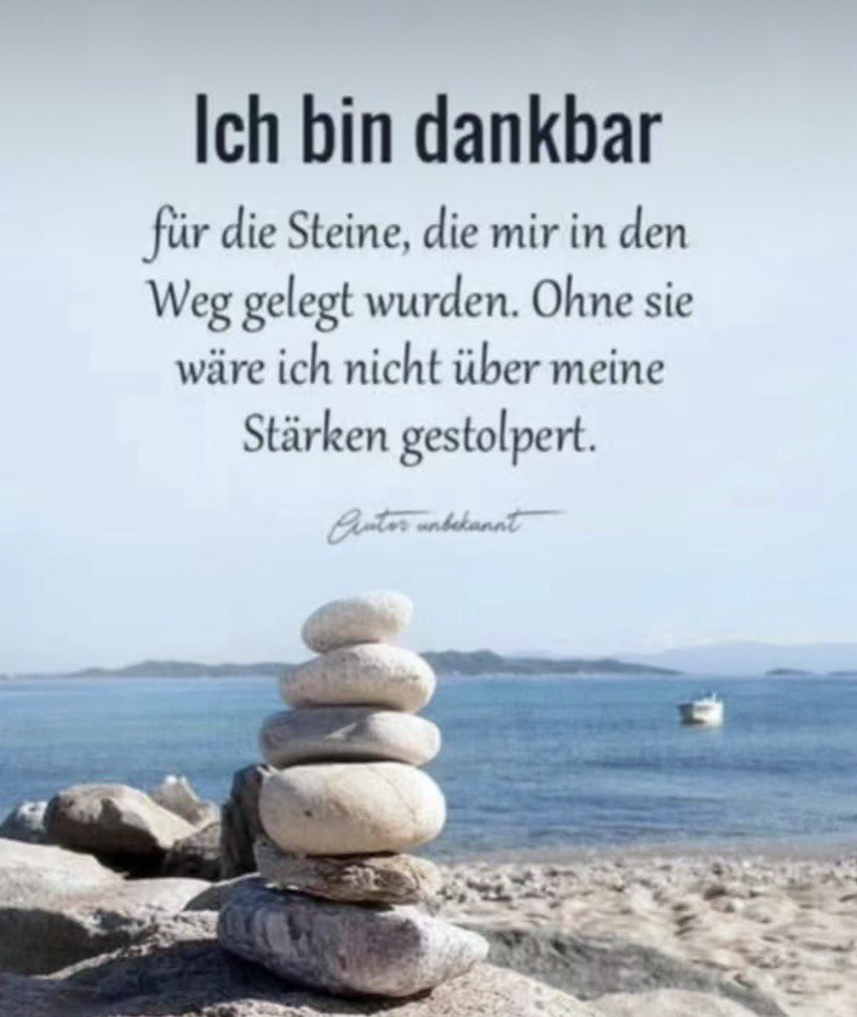 Xiaomi Redmi Note 12 Usado